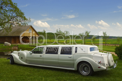 Light limousine in the meadow
