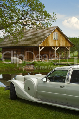 Light limousine in the meadow