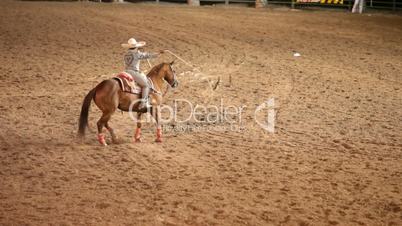 cowboy and horse