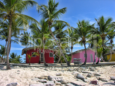 Small and Coloured Homes on the Coast of Santo Domingo