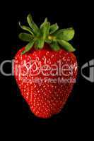 Strawberry on a black background