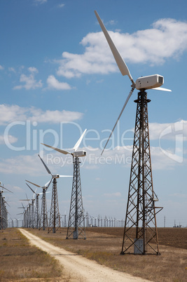 Windmills in wind-farm