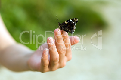 Butterfly on hand