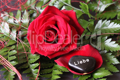 Rote Rose