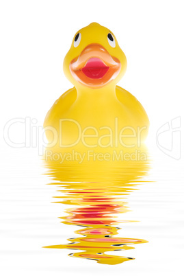 The duck