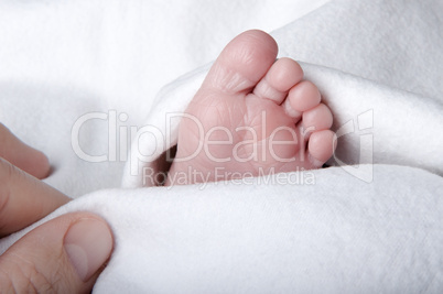 Babys foot