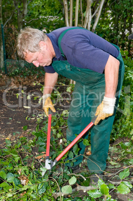 Gardener with cutter