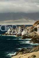 Chilean coast