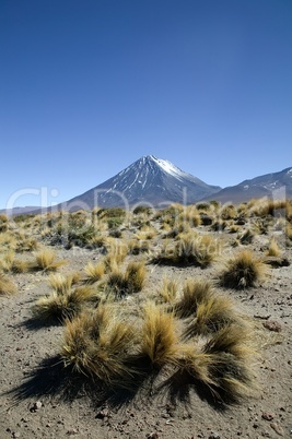 Snowcapped volcano in Argentina