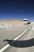 White truck in a desert