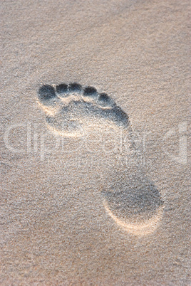 Single Footprint