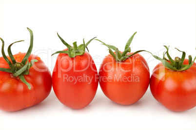 Tomatoes in a Row