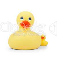 Rubber Duck with Duckling