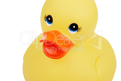 Cute Rubber Duckling