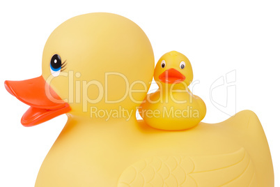 Rubber Duck with Duckling