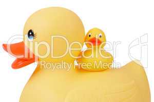 Rubber Duck with Duckling