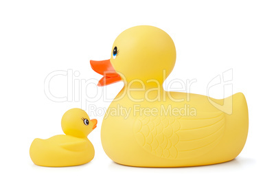 Rubber Duck With Duckling