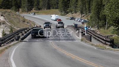 traffic in Yellowstone
