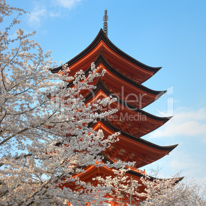 Pagoda With Cherry Trees