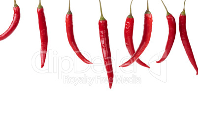 Hanging Red Chili Peppers In A Row