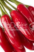 Bunch Of Chili Peppers