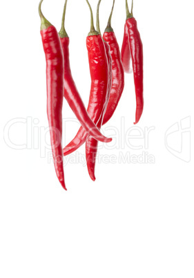 Hanging Red Chili Peppers