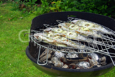 Grillen Forelle - grilling trout 03