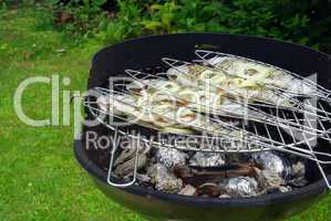 Grillen Forelle - grilling trout 03