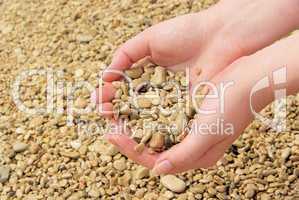 Hand mit Steinen - hand with stones 02