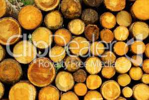 Holzstapel - stack of wood 27