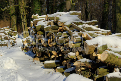 Holzstapel im Winter - stack of wood in winter 08