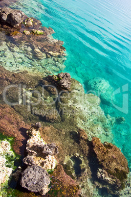 Rocks under a transparent sea water