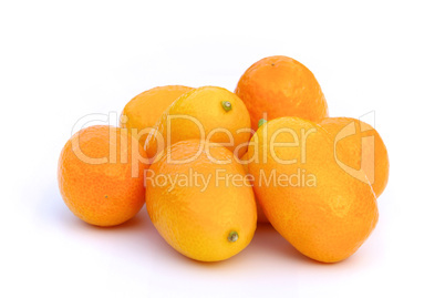 Kumquat 02