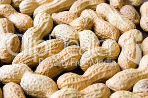 Erdnüsse - Peanuts