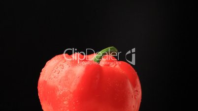 Red pepper under drops