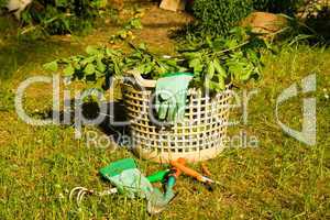 gärtnern, gardening