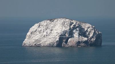 Mazatlan rock / island birds