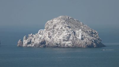 Mazatlan rock / island birds