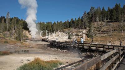geyser / Yellowstone