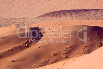 Die roten Dünen des Sossusvlei Die roten Dünen des Sossusvlei