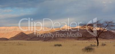 Landschaft in Namibia