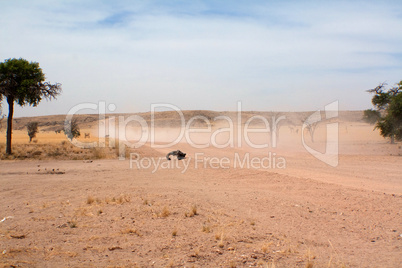 Landschaft in Namibia