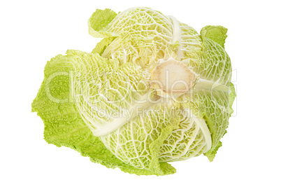 Cabbage from Back