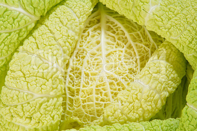Cabbage as background of bends