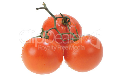 Three Five Red Tomatoes