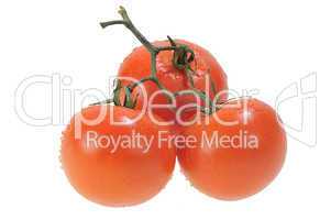 Three Five Red Tomatoes