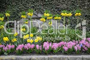 Garten im Frühling