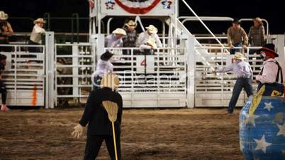 Rodeo bull ride