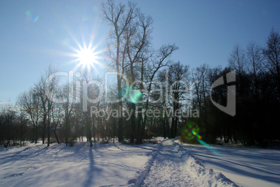 Park im Winter - park in winter 01