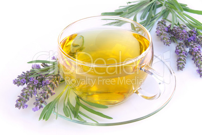 Tee Lavendel - lavender tea 06